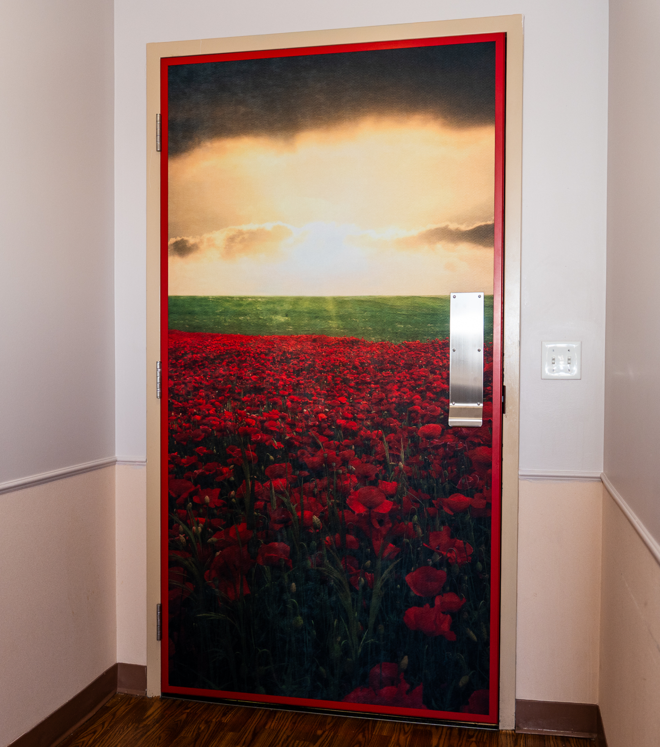 special-door